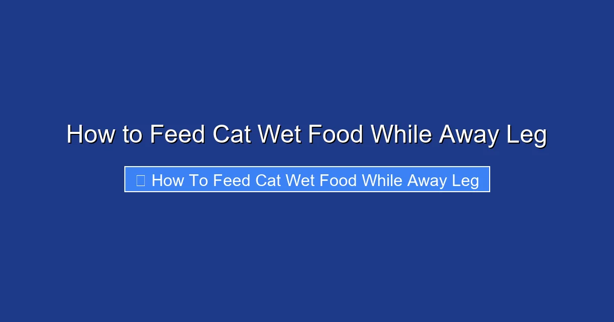 How to Feed Cat Wet Food While Away Leg