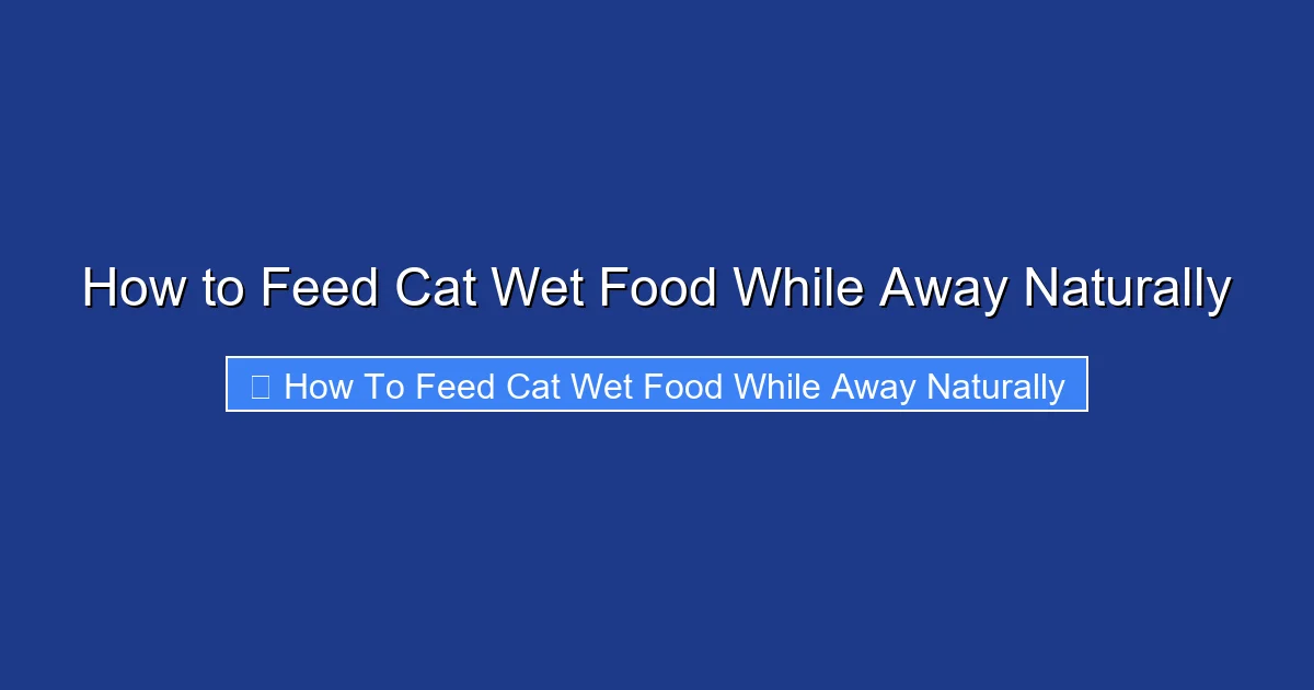 How to Feed Cat Wet Food While Away Naturally