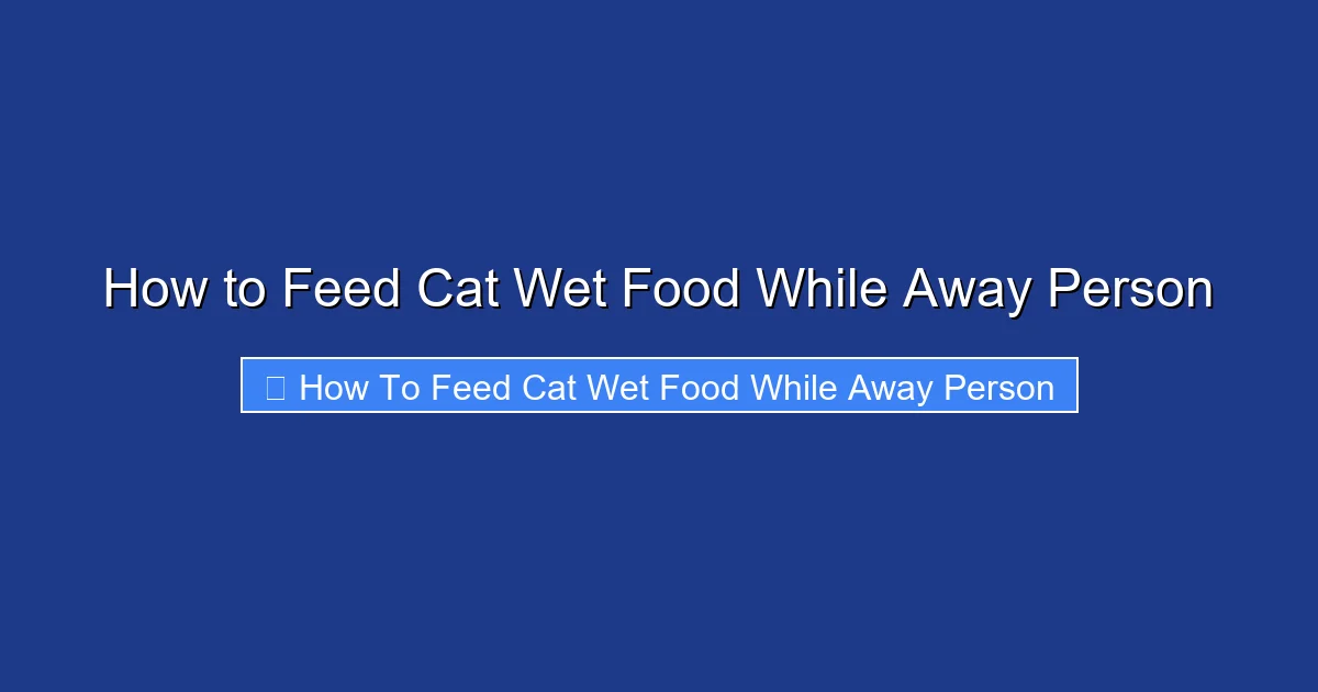 How to Feed Cat Wet Food While Away Person