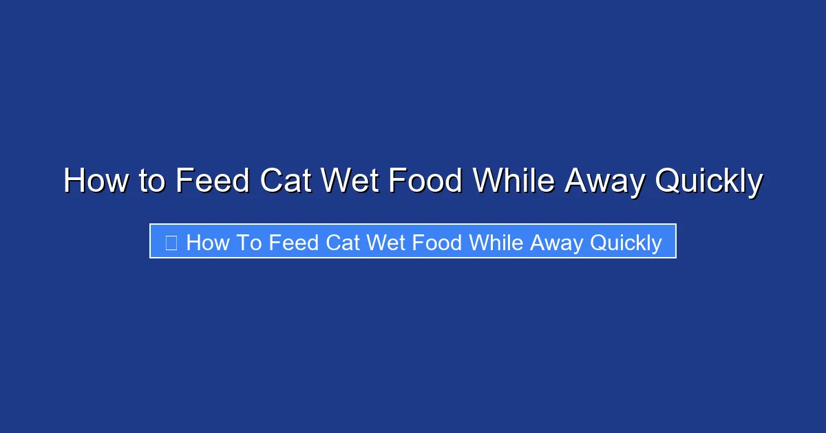 How to Feed Cat Wet Food While Away Quickly