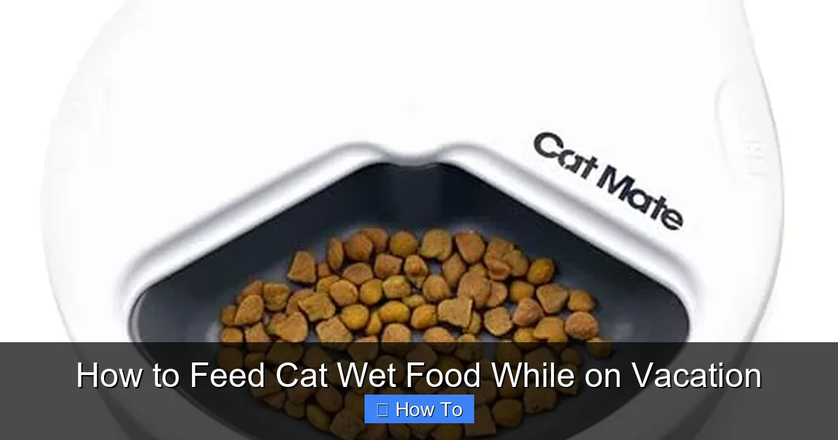 How to Feed Cat Wet Food While on Vacation