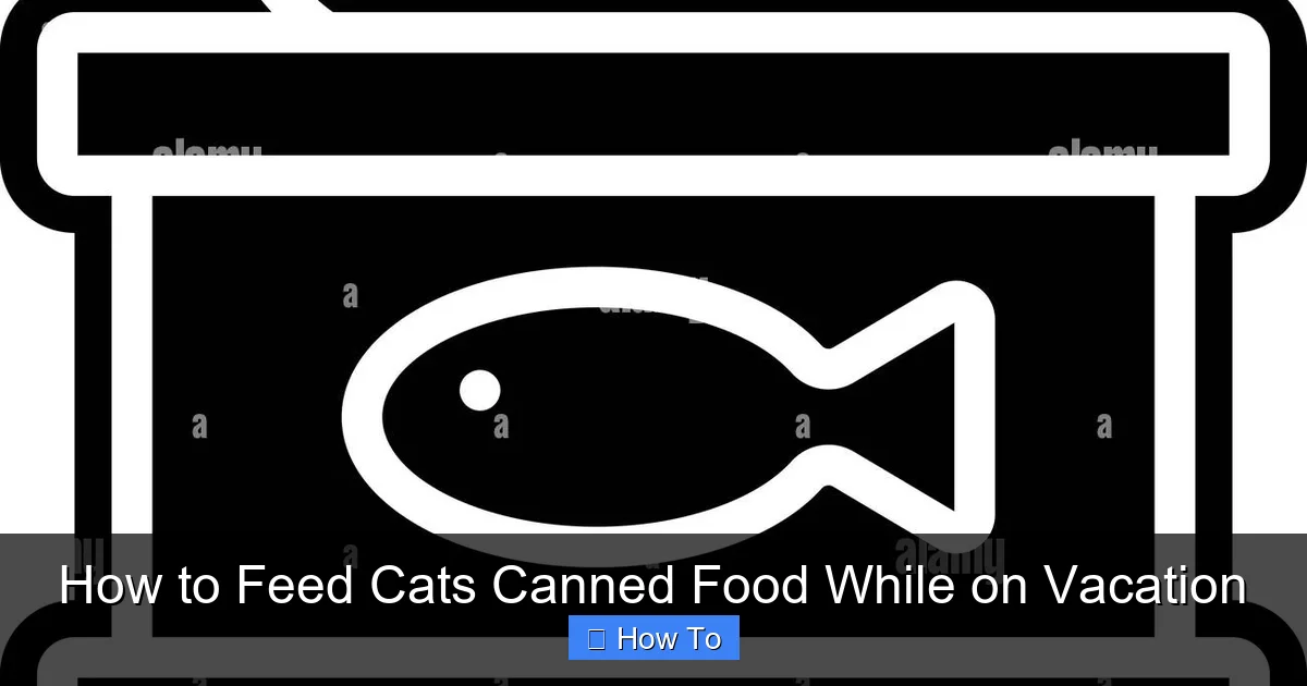 How to Feed Cats Canned Food While on Vacation