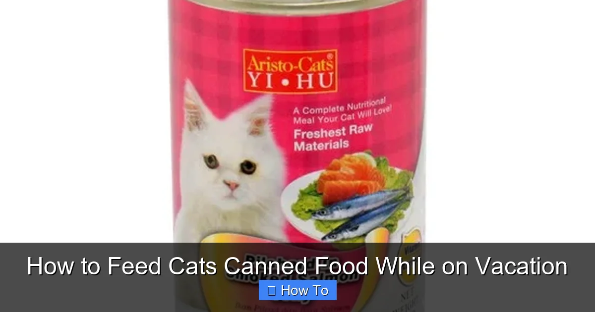 How to Feed Cats Canned Food While on Vacation