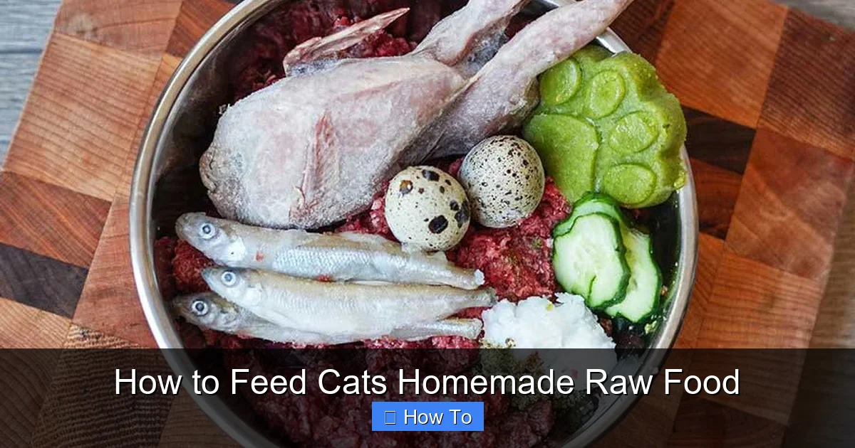How to Feed Cats Homemade Raw Food