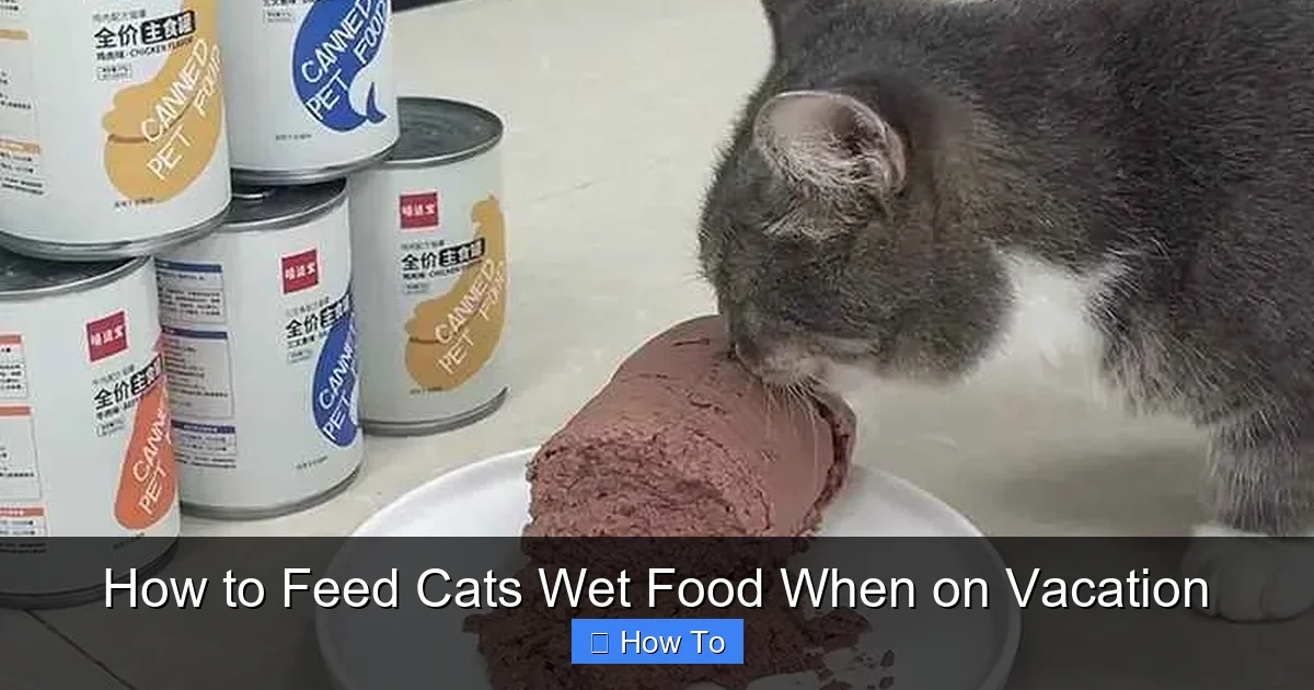 How to Feed Cats Wet Food When on Vacation