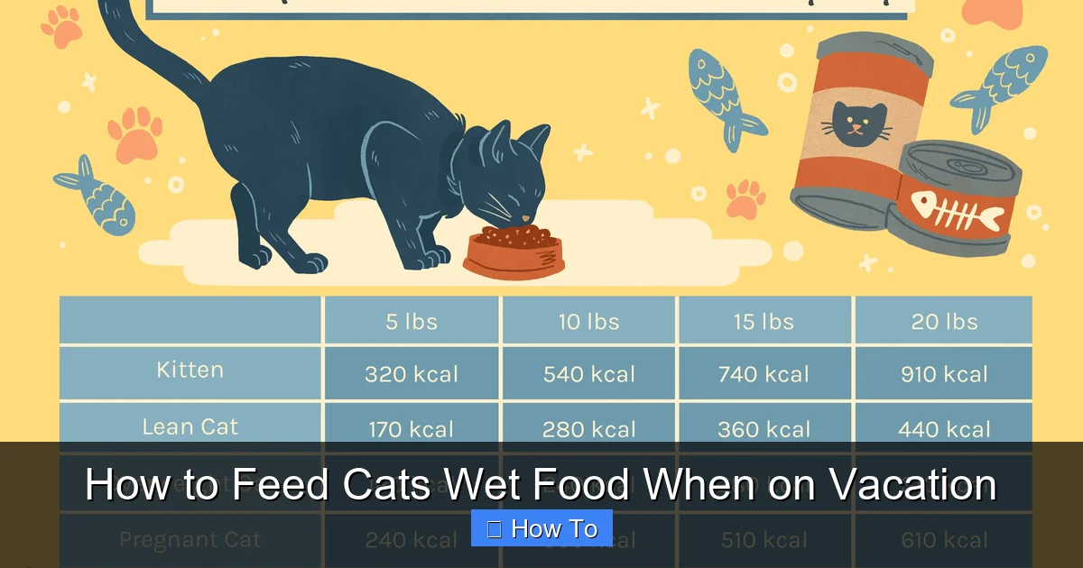 How to Feed Cats Wet Food When on Vacation