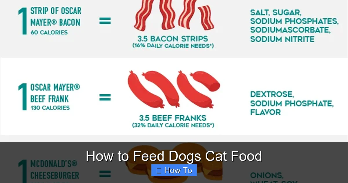 How to Feed Dogs Cat Food