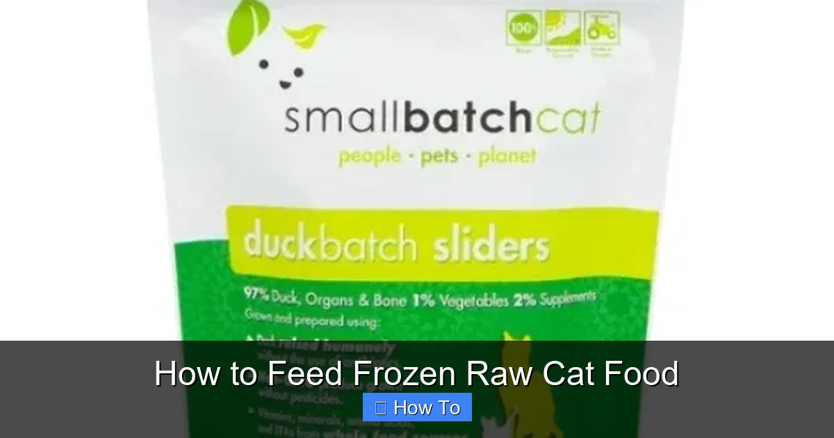 How to Feed Frozen Raw Cat Food