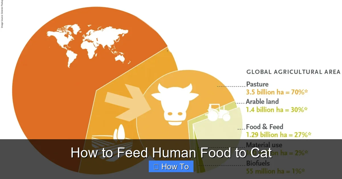 How to Feed Human Food to Cat