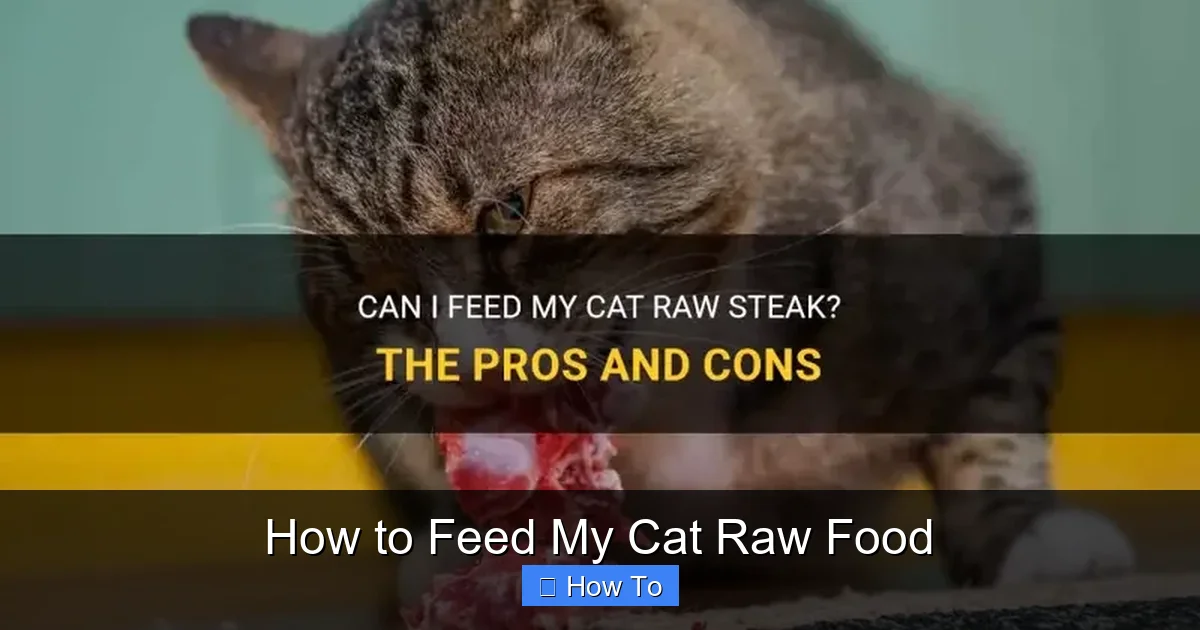 How to Feed My Cat Raw Food