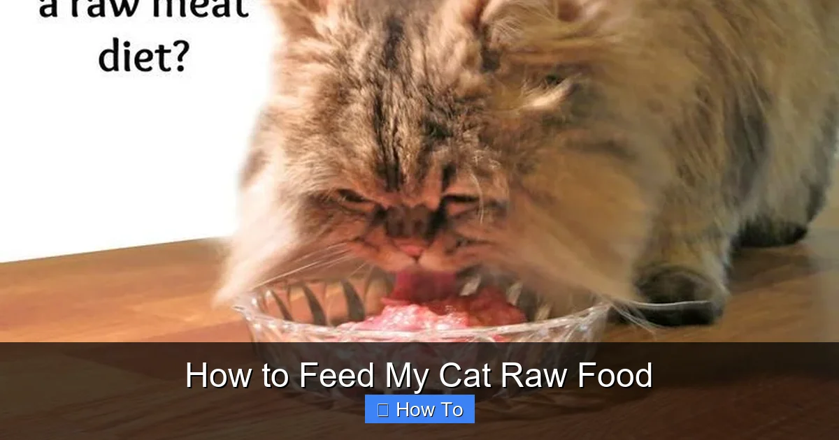 How to Feed My Cat Raw Food