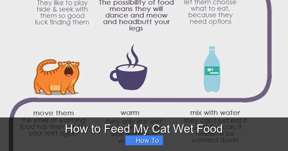 How to Feed My Cat Wet Food