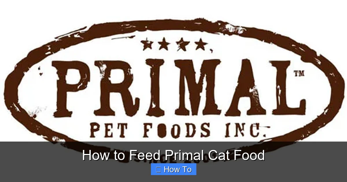 How to Feed Primal Cat Food