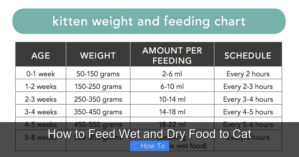 How to Feed Wet and Dry Food to Cat
