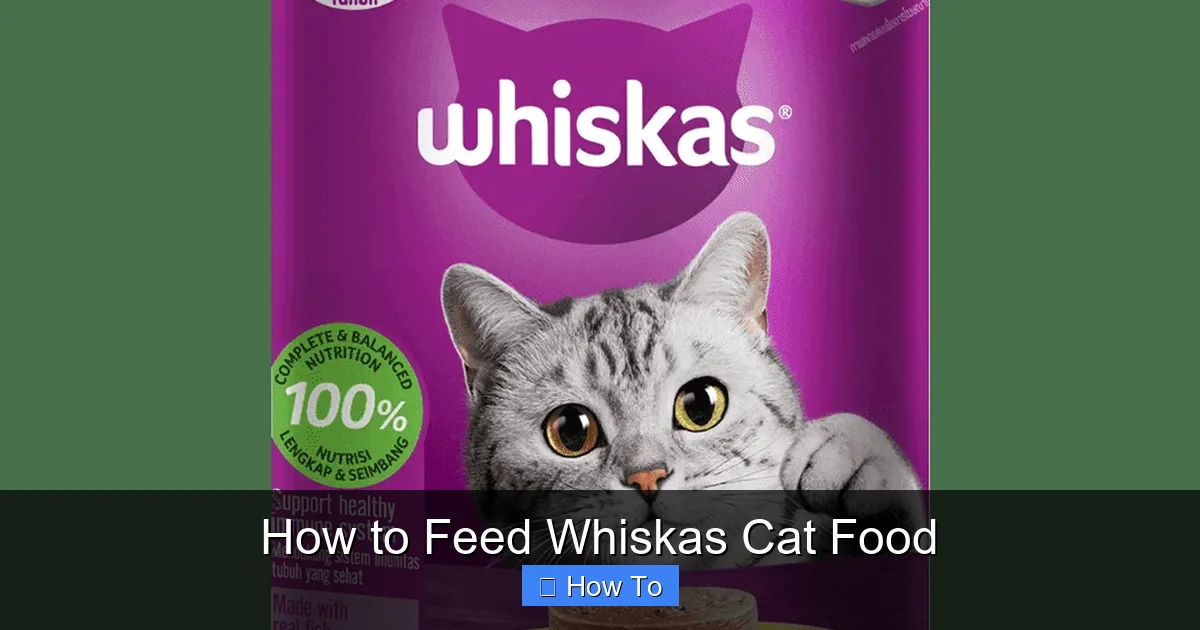 How to Feed Whiskas Cat Food
