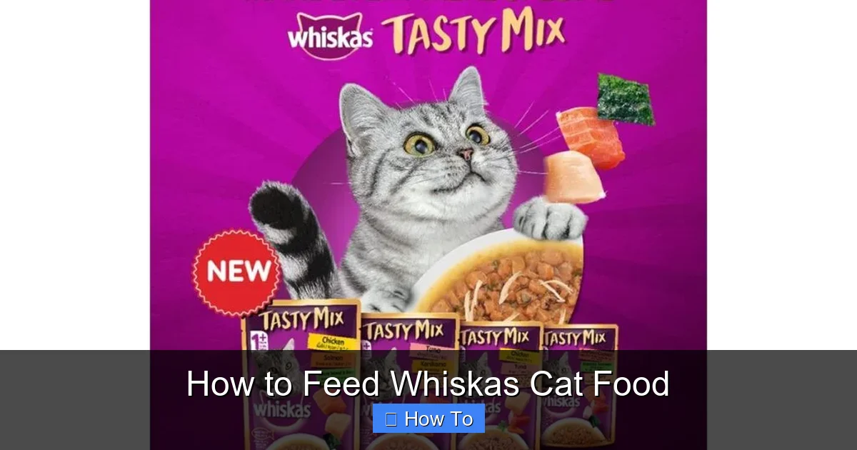How to Feed Whiskas Cat Food