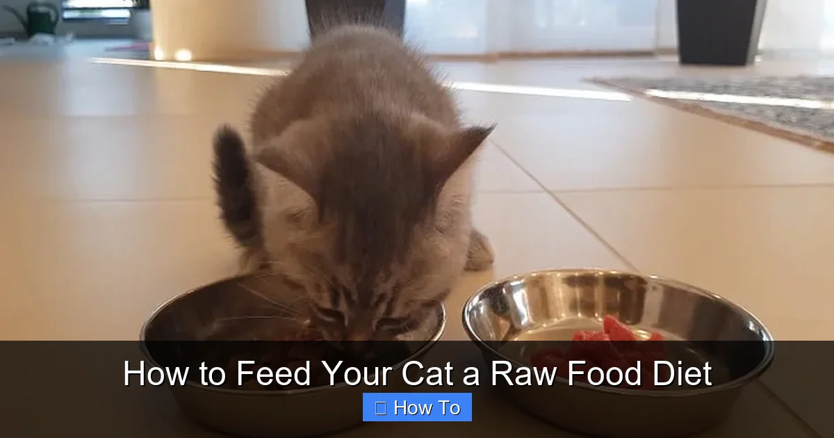 How to Feed Your Cat a Raw Food Diet