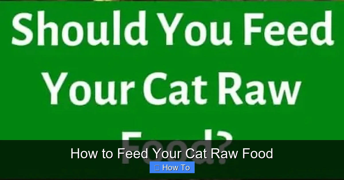 How to Feed Your Cat Raw Food