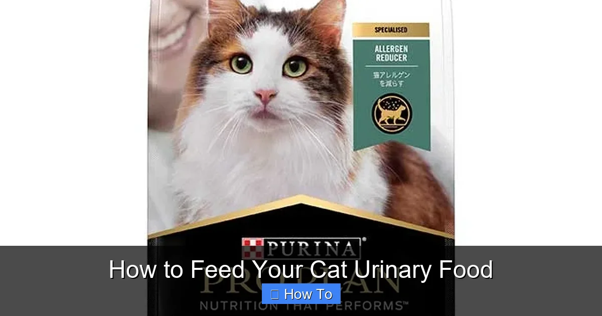 How to Feed Your Cat Urinary Food