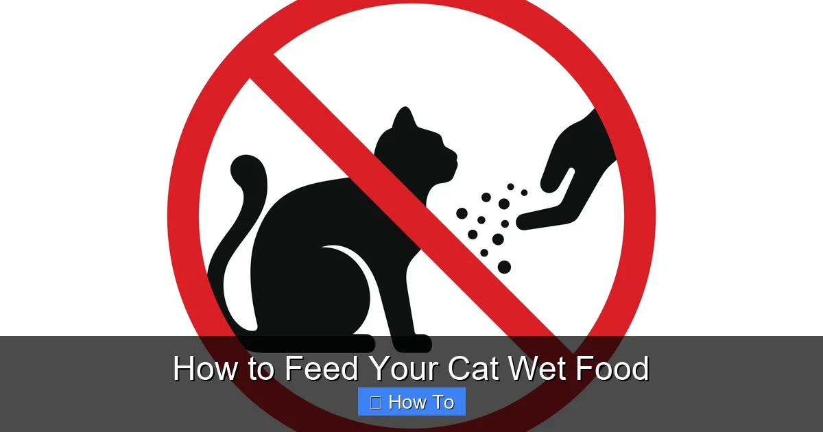 How to Feed Your Cat Wet Food