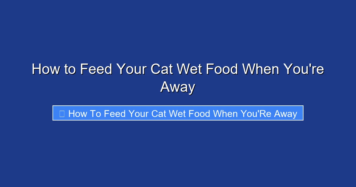 How to Feed Your Cat Wet Food When You're Away