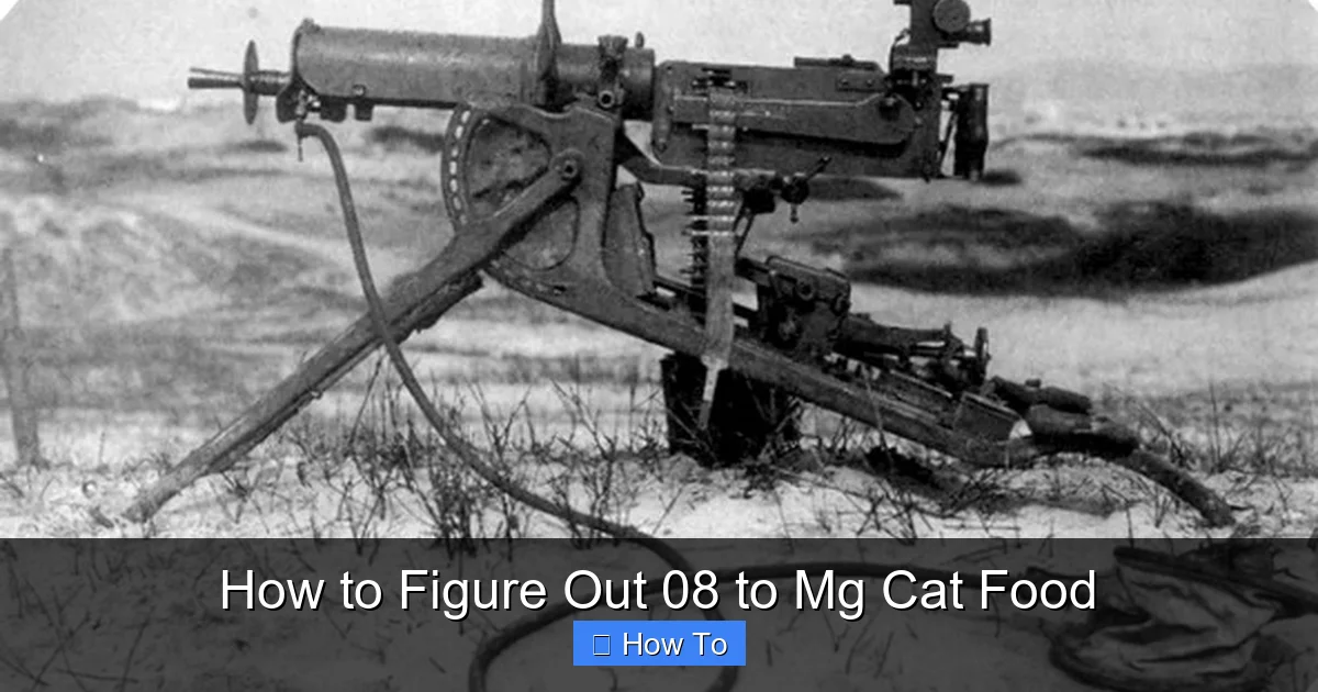 How to Figure Out 08 to Mg Cat Food