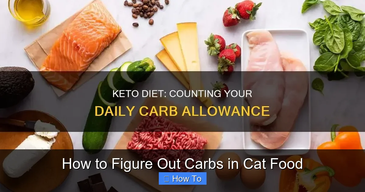 How to Figure Out Carbs in Cat Food