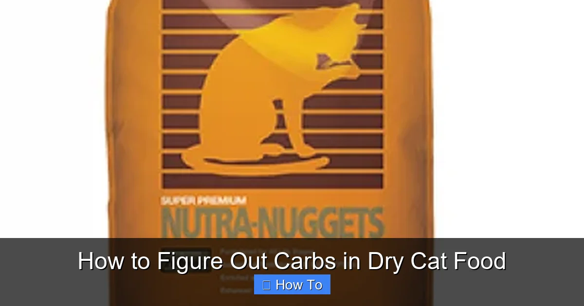 How to Figure Out Carbs in Dry Cat Food