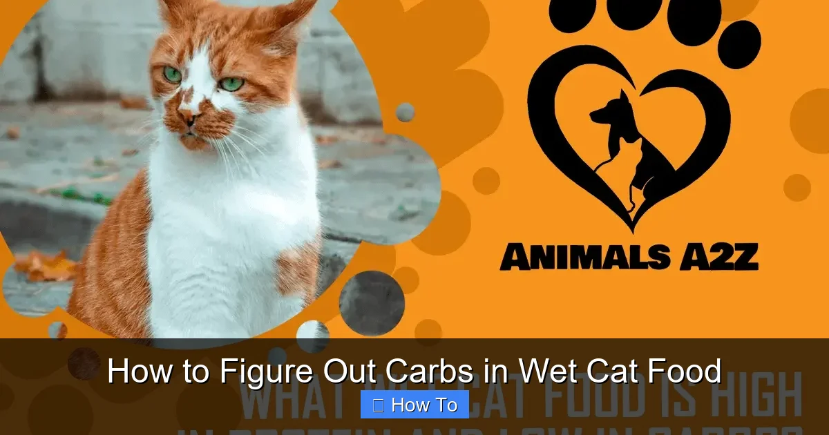 How to Figure Out Carbs in Wet Cat Food