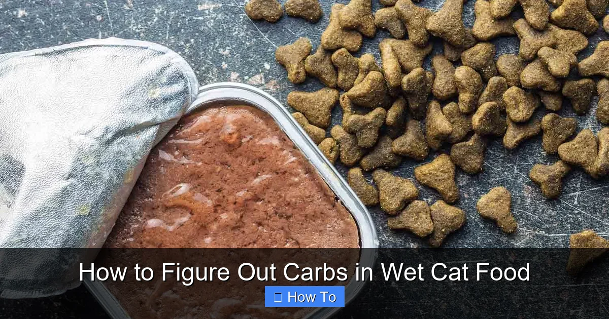 How to Figure Out Carbs in Wet Cat Food