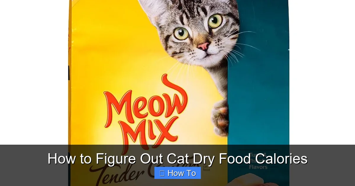 How to Figure Out Cat Dry Food Calories