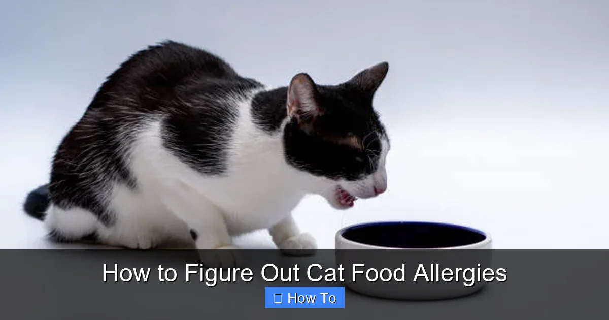 How to Figure Out Cat Food Allergies