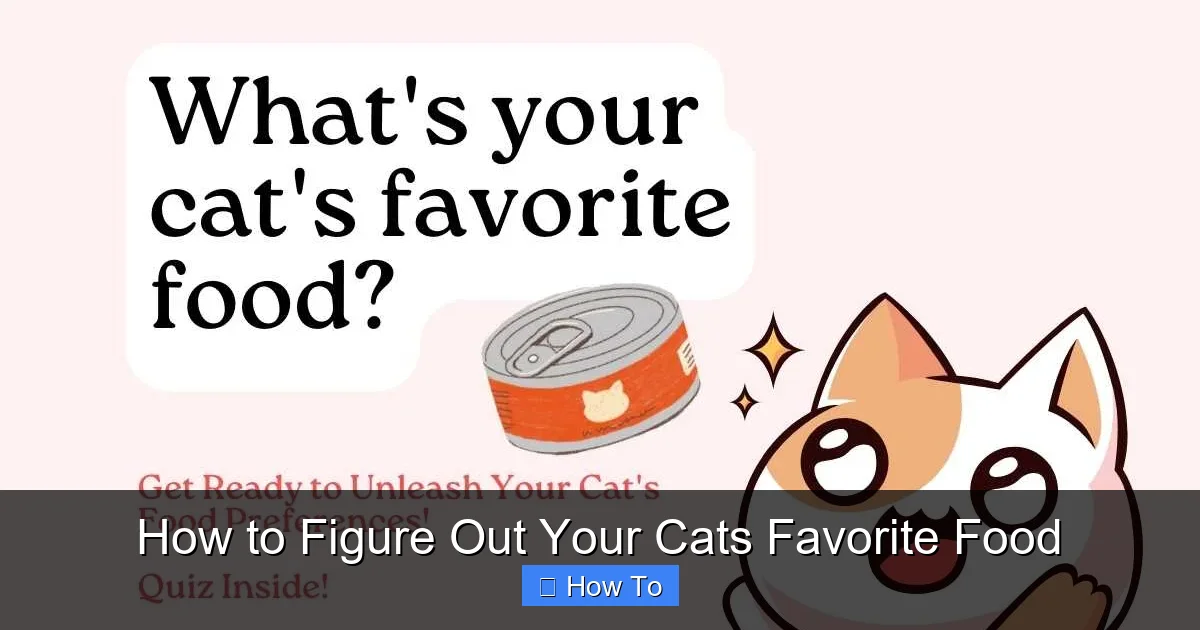 How to Figure Out Your Cats Favorite Food