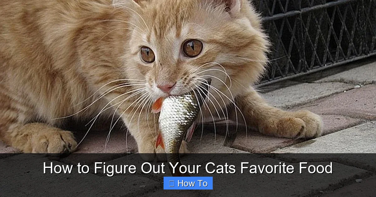 How to Figure Out Your Cats Favorite Food