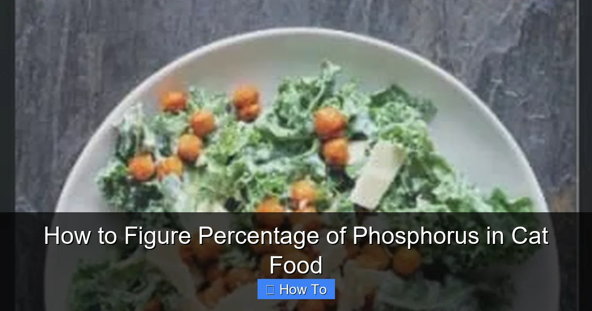 How to Figure Percentage of Phosphorus in Cat Food