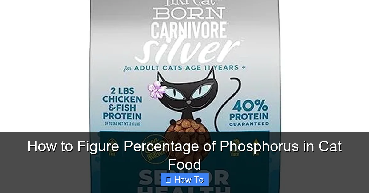How to Figure Percentage of Phosphorus in Cat Food