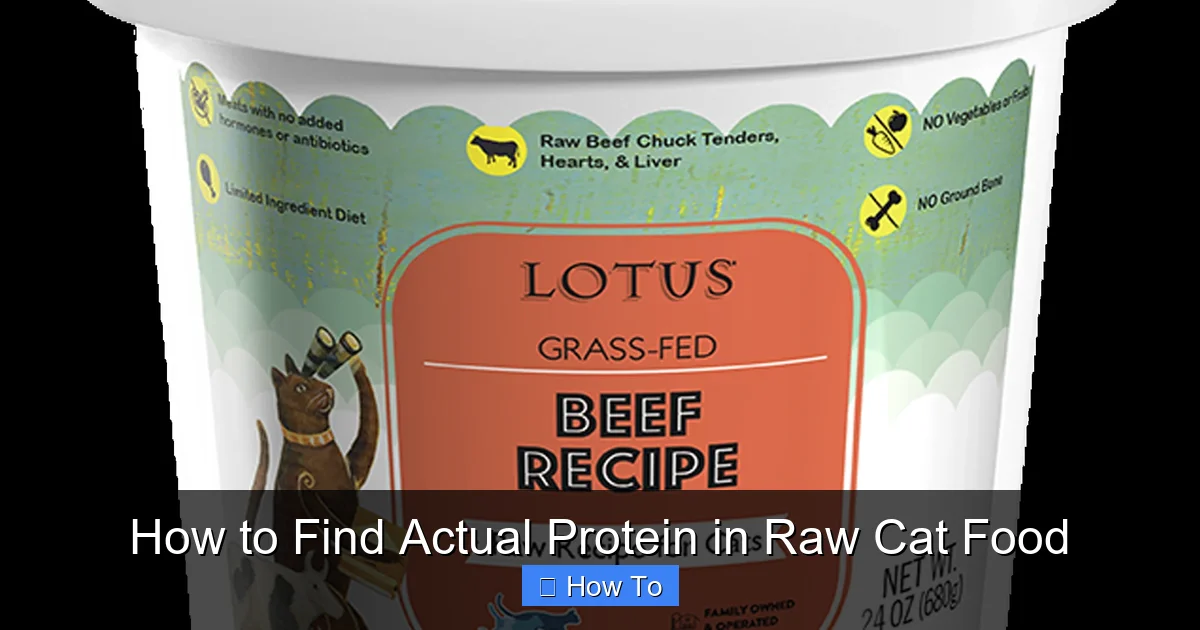 How to Find Actual Protein in Raw Cat Food