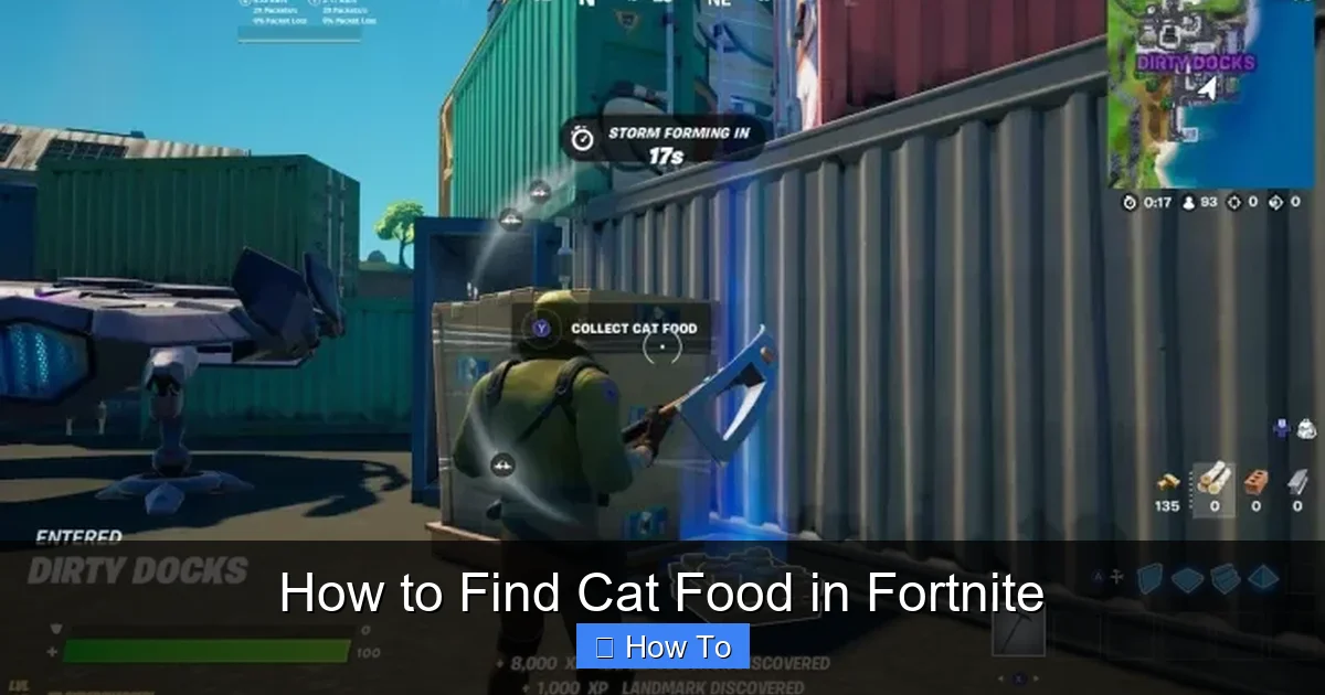 How to Find Cat Food in Fortnite
