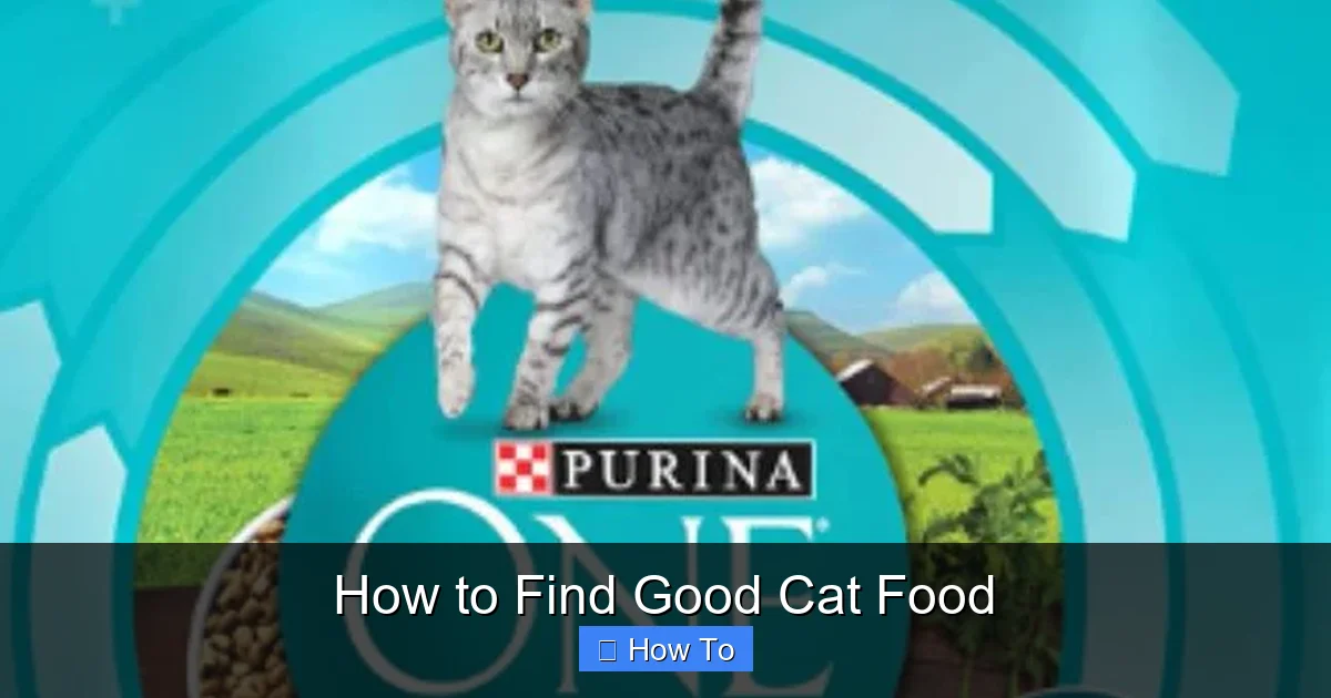 How to Find Good Cat Food