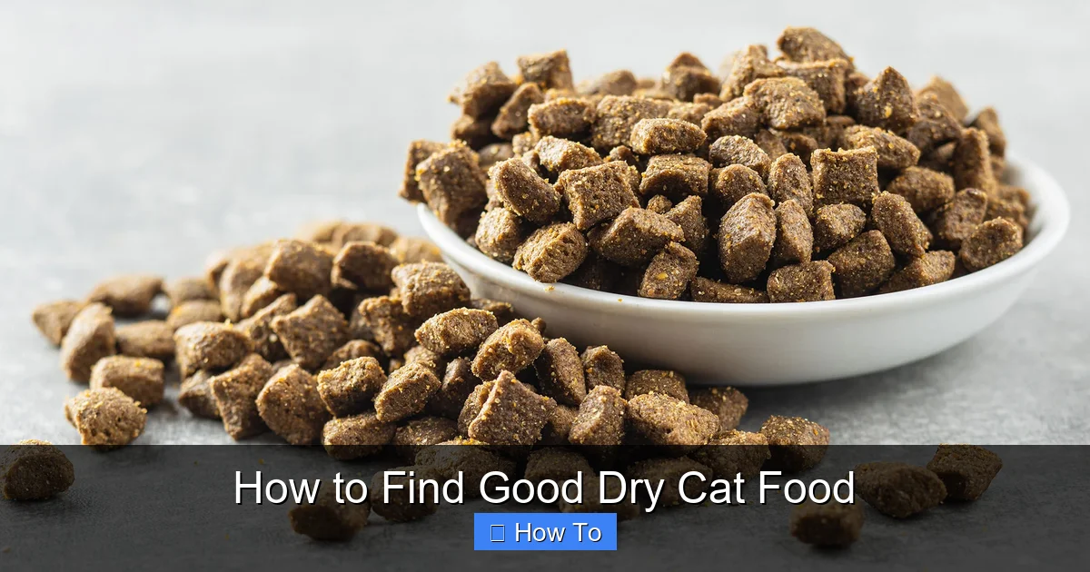 How to Find Good Dry Cat Food