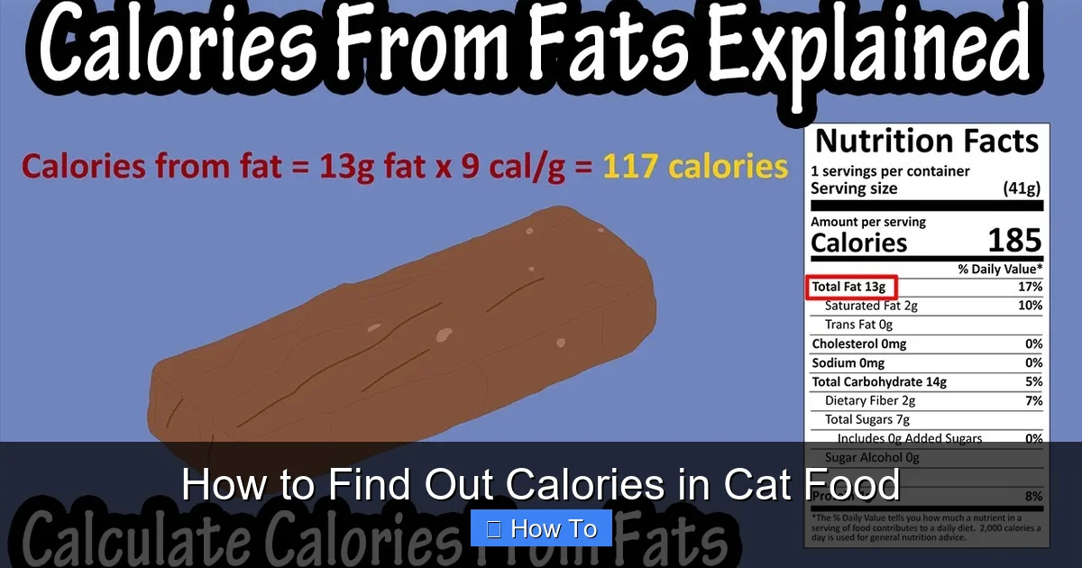 How to Find Out Calories in Cat Food