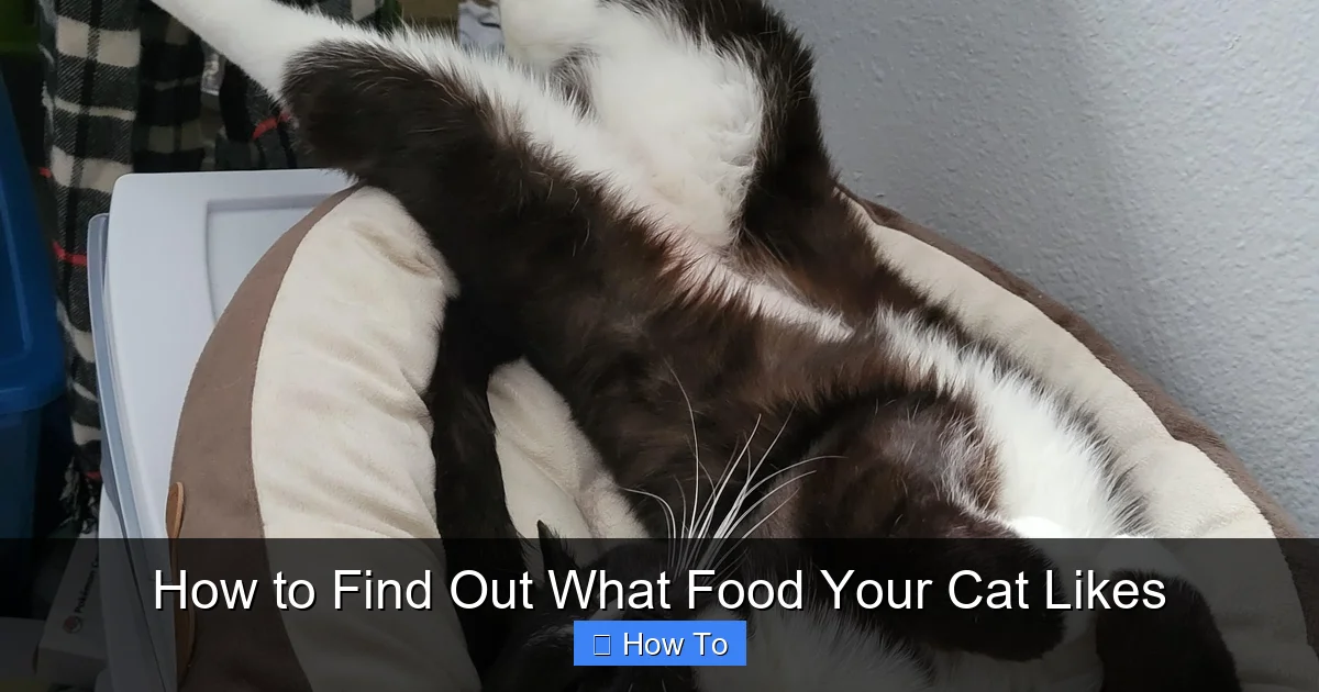 How to Find Out What Food Your Cat Likes