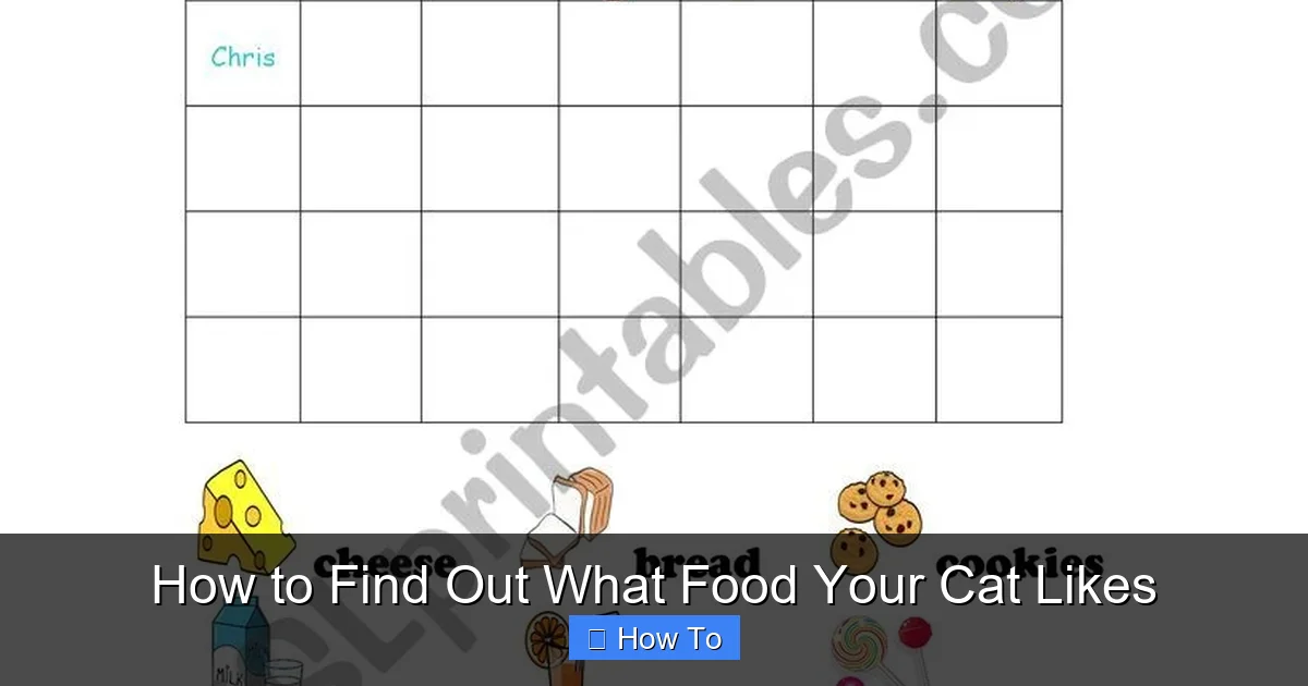 How to Find Out What Food Your Cat Likes