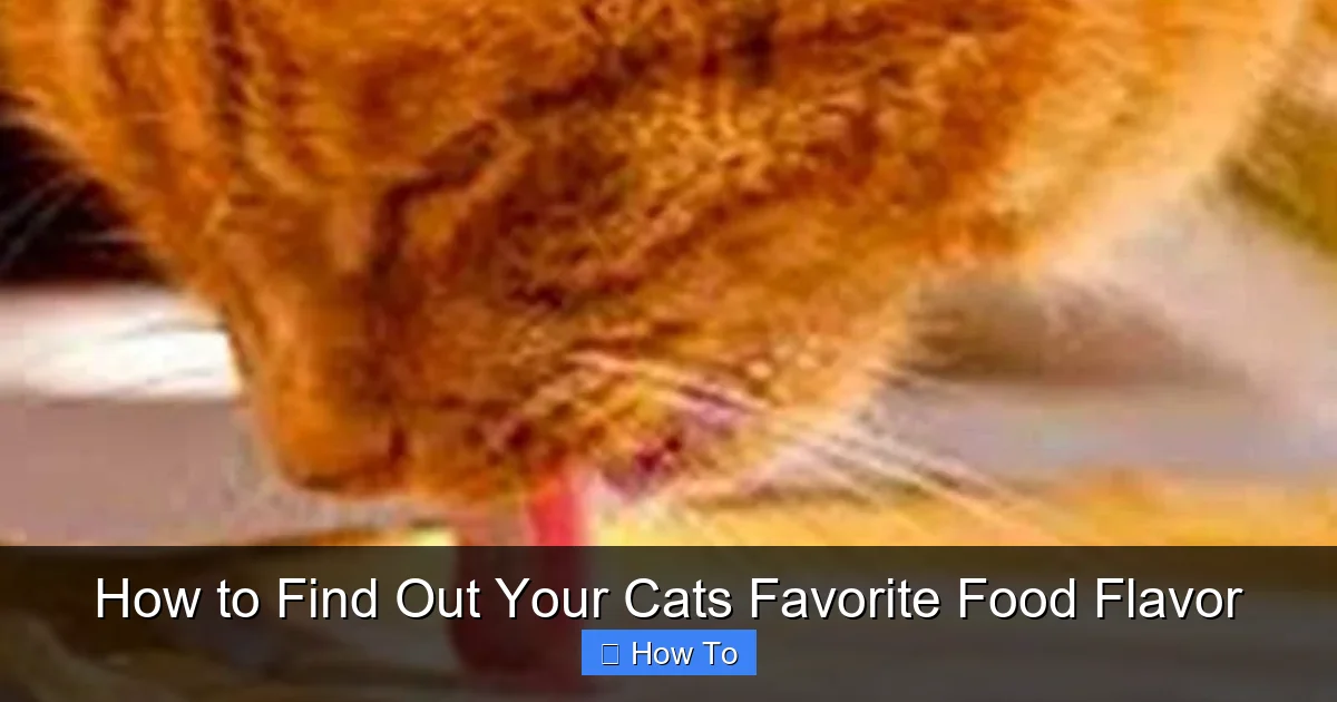 How to Find Out Your Cats Favorite Food Flavor