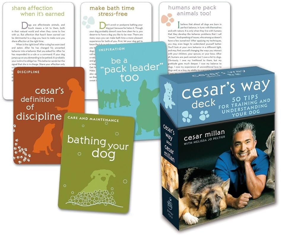50 Training Tips to Understand and Train Your Dog by Cesar's Way