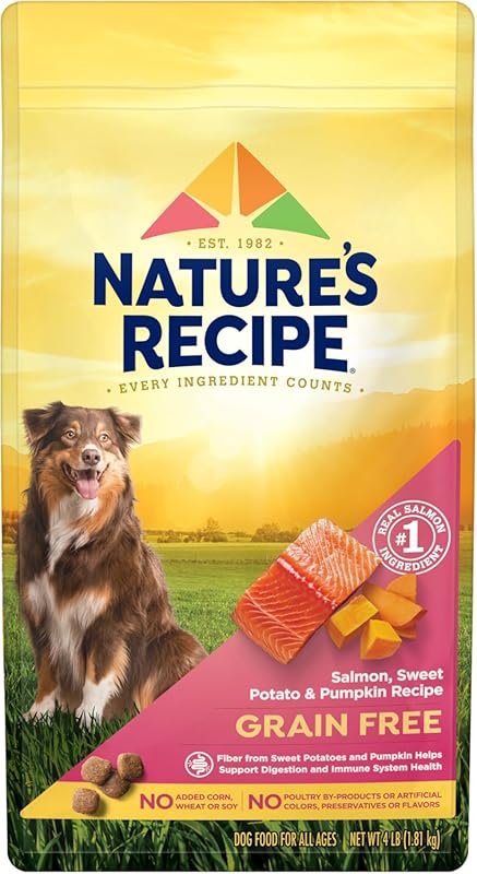 Nature's Recipe Grain Free Salmon, Sweet Potato, and Pumpkin Dry Dog F