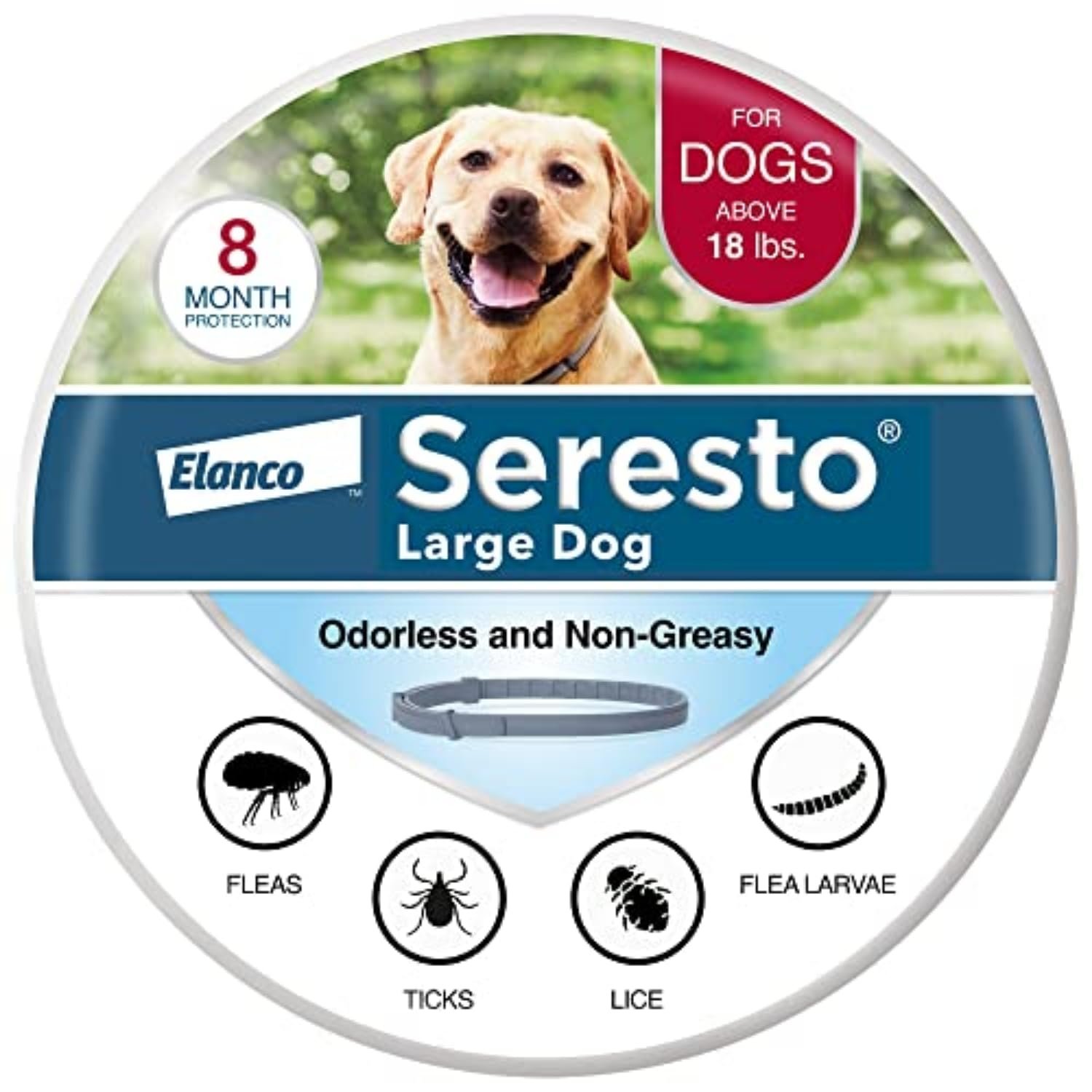 Seresto Flea & Tick Collar Review: Vet-Recommended 8-Month Protection for Dogs