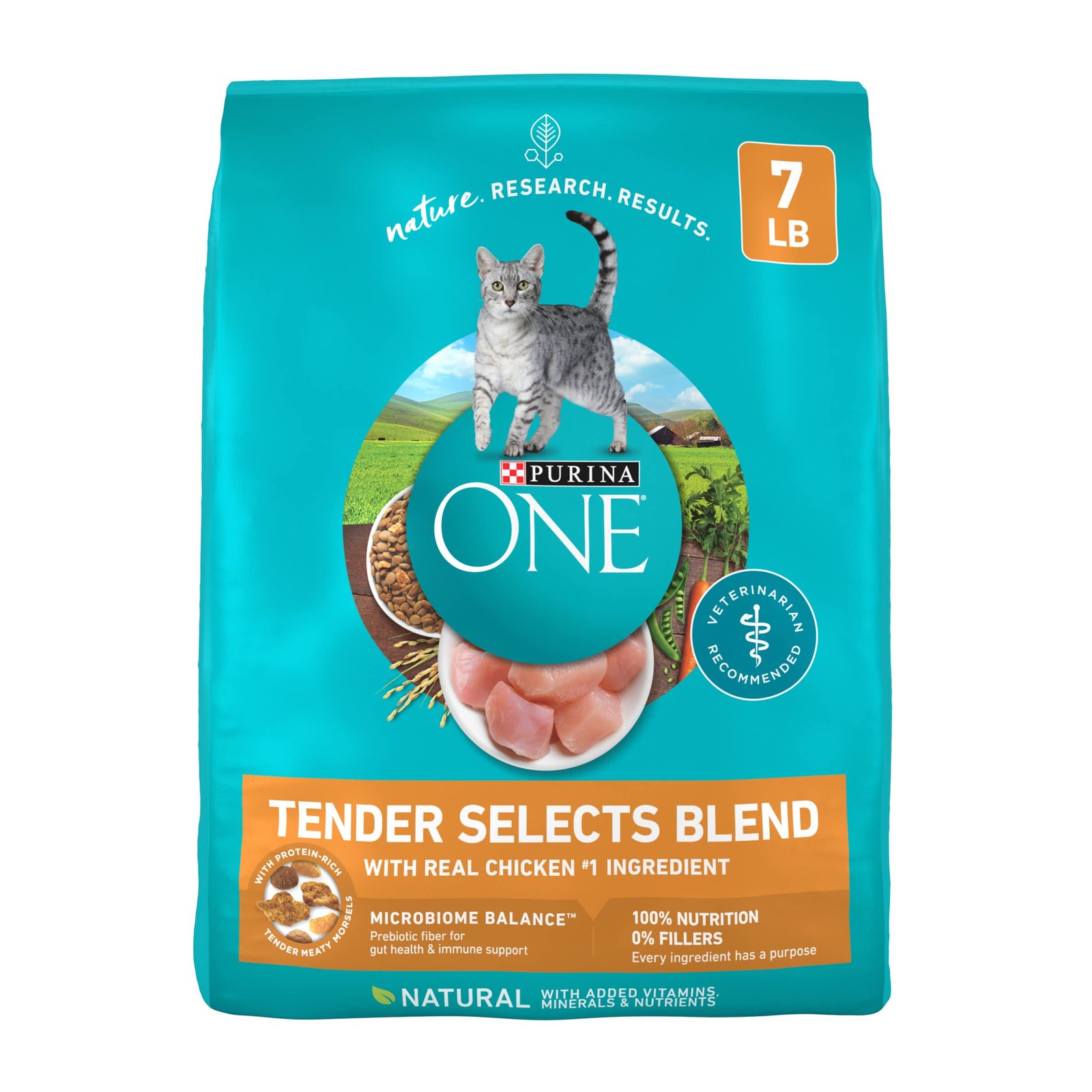 Purina ONE Natural Dry Cat Food Review: Tender Chicken Blend for Healthy Cats