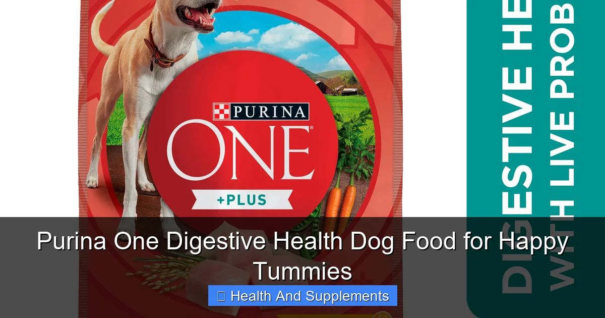 Purina One Digestive Health Dog Food for Happy Tummies
