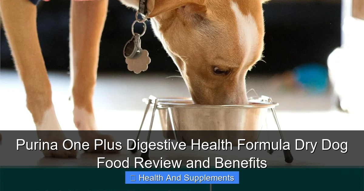 Purina One Plus Digestive Health Formula Dry Dog Food Review and Benefits